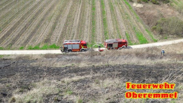 Flaechenbrand_Wiltingen_31_03_17 (4)